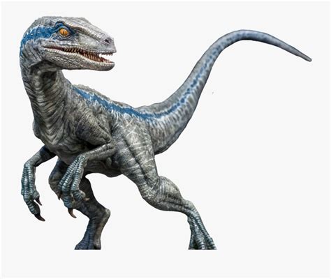 Blue By Jacksondeans - Jurassic World Velociraptor Transparent , Free Transparent Clipart ...