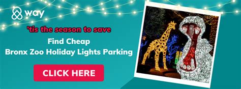 Bronx Zoo Holiday Lights 2024: Parking, Schedule & More