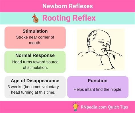 Newborn Reflexes - RNpedia