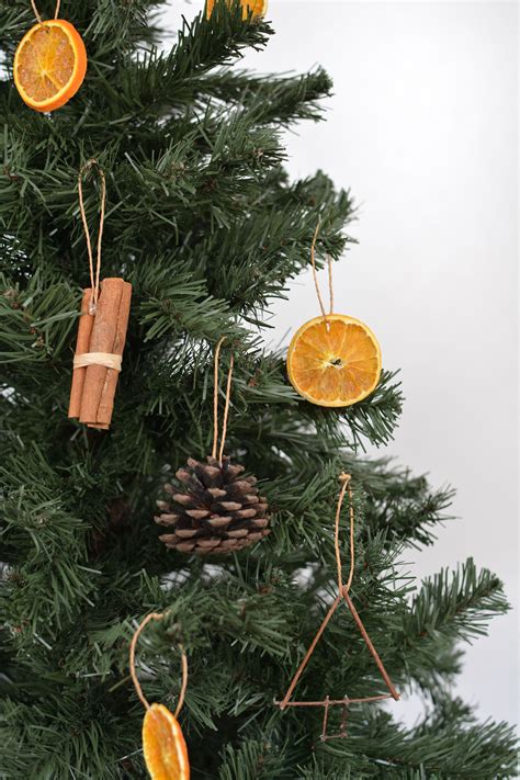 DIY Tree Ornaments Using Natural Materials | Hunker | Christmas tree decorations diy, Christmas ...