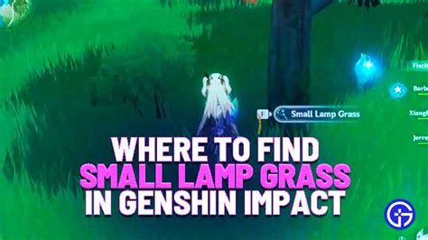 Genshin Impact: Where To Find Small Lamp Grass