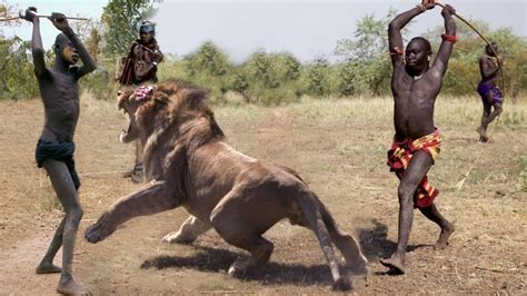 Amazing Wild Animals vs Human - Hunting lion , gorilla , Wild Animal ...