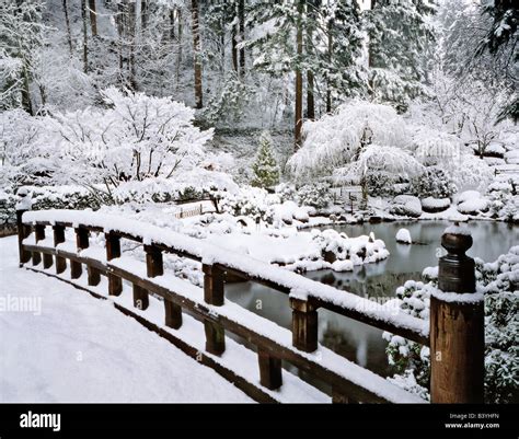 USA, Oregon, Portland. Winter snowfall on the Japanese Garden Stock Photo - Alamy