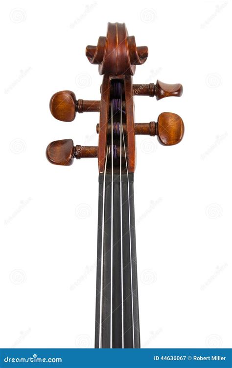 Violin Scroll Isolated on White Stock Image - Image of amati, concerto ...