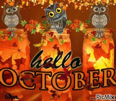 Owl Mason Jar - Hello October Gif Pictures, Photos, and Images for ...