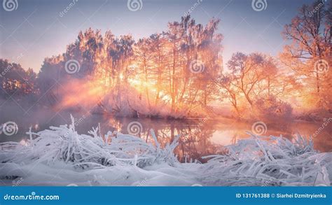 Winter scenery at sunrise stock photo. Image of morning - 131761388