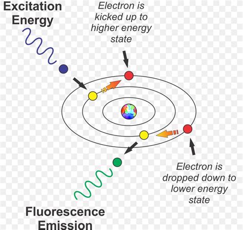 Light Fluorescence Electron Excitation Excited State, PNG, 793x779px, Light, Absorption, Area ...