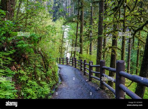 Silver falls state park hiking trail Stock Photo - Alamy