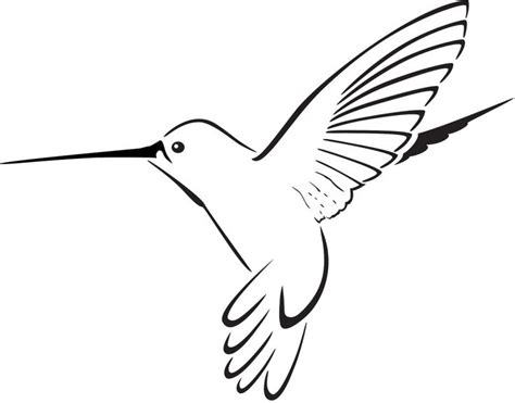 Hummingbird Clipart Pictures – Clipartix