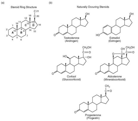 Biochemistry of Steroid Hormones