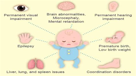 Cytomegalovirus (CMV) During Pregnancy