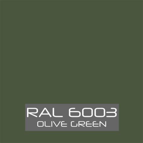 RAL 6003 Paint