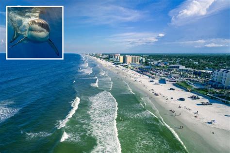 Shark attack at 'deadliest beach in America' sees surfer bitten by ...