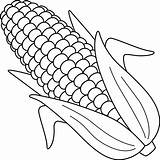 Corn Cob Coloring Page Vegetable Pages Fruit  Vrogueco sketch template