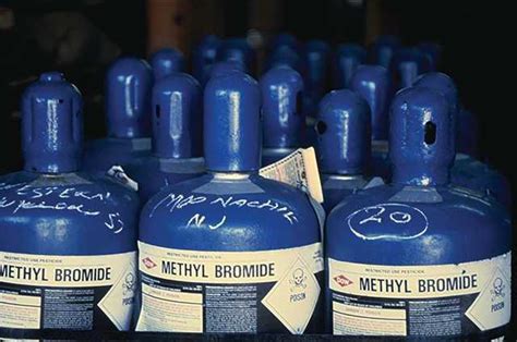 Fumigation: Methyl Bromide Fumigation Process