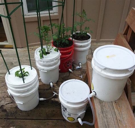 5 Gallon Self-Watering Tomato Container - DIY projects for everyone! | Self watering planter ...