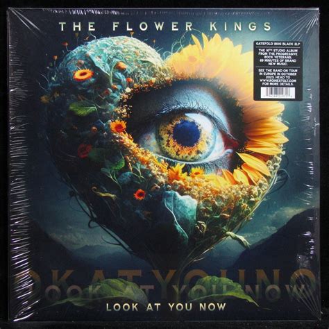 Купить виниловую пластинку Flower Kings - Look At You Now (2LP), 2023, SS/SS