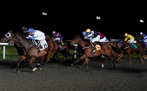 Marlborough racing tips for Friday, December 14