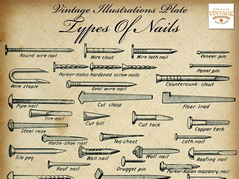 Types of Nails Chart Vintage Diy / Carpentry Digital Image Illustrations, A4 Size, 300 Dpi, Jpeg ...