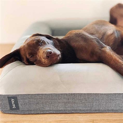 Barney Bed Luxury Dog Beds Designed in Australia