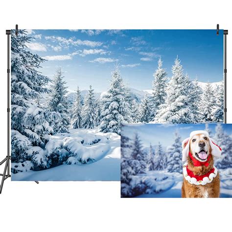 Buy CSFOTO Polyester 7x5ft Winter Scene Photo Backdrop Winter ain ...