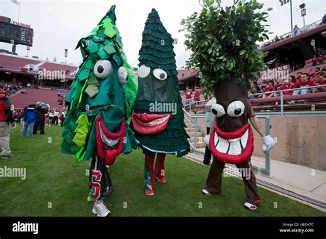 Stanford Cardinal Mascot