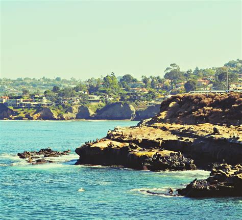 l o v e: la jolla cove, san diego