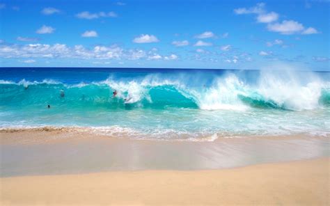 Ocean beach wave wallpaper | 1920x1200 | #31202