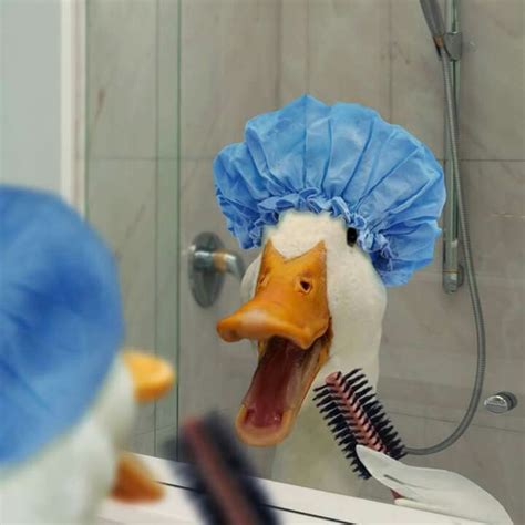 Aflac duck. Singing in the shower | Meme binatang, Bayi hewan lucu, Humor hewan lucu