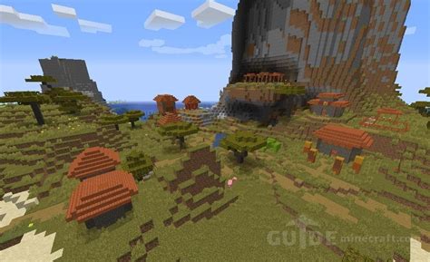 Village Next to Giant Monolith seed for Minecraft 1.16.4