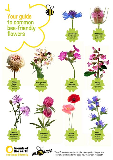 Guide to Bee Friendly Plants | Moral Fibres - UK Eco Green Blog