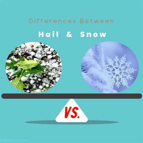 Hail vs Snow Differences: Exploring Frozen Phenomena