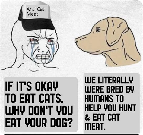 Here's another meme to send to anti-cat-meat activists. : r/cateatingvegans