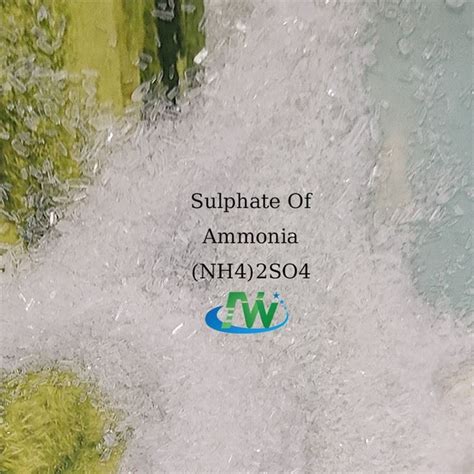 China (NH4)2SO4 Sulphate Of Ammonia Crystal Fertilizer Manufacturers, Suppliers, Factory ...