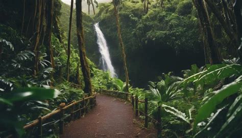 Top Tips for Maui Hawaii Hiking Tours - Your #1 Maui Resource