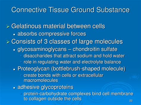 PPT - Histology PowerPoint Presentation, free download - ID:3142862