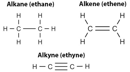 What is the difference between alkanes, alkenes, and alkynes? | Study.com