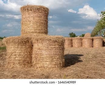 2,452 Rice Straw Baling Images, Stock Photos & Vectors | Shutterstock