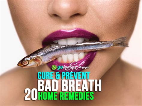 20 Natural Home Remedies for Bad Breath/ Halitosis - Prevent Bad Breath Naturally - Natural Home ...