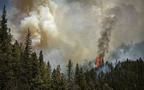 US review traces massive New Mexico fire to planned burns | Jefferson ...