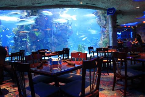 8 Underwater Restaurants You Must Visit Before You Die