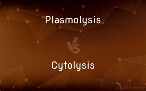 Plasmolysis vs. Cytolysis — What’s the Difference?