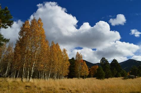 Pictures I took hiking in Flagstaff, Arizona : r/pics