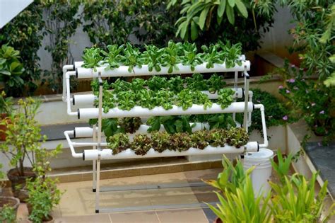 What is Vertical Hydroponic Gardening