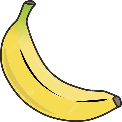 Fruit Banana Yellow And Green Vector, Banana, Fruit, Food PNG and Vector with Transparent ...