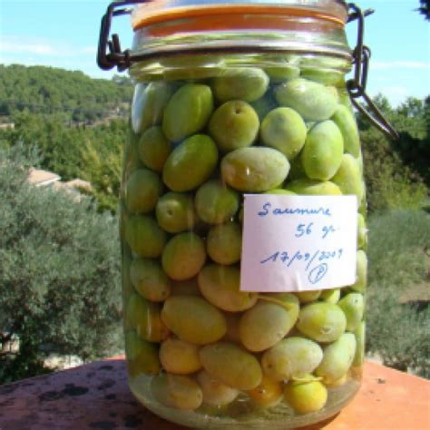 Green Olives in Brine Recipe - (4.5/5)