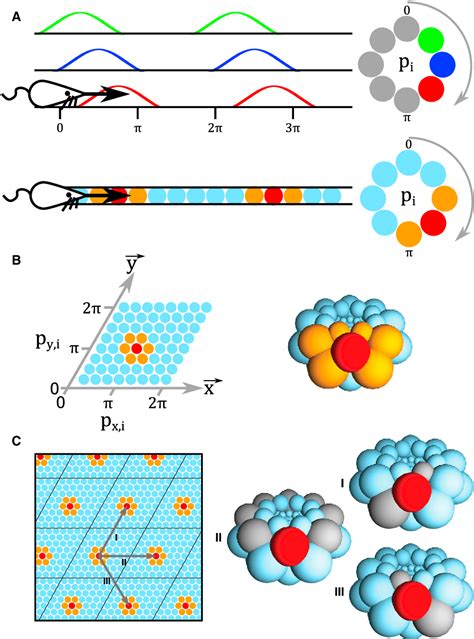 Figure 1 from Using Grid Cells for Navigation | Semantic Scholar