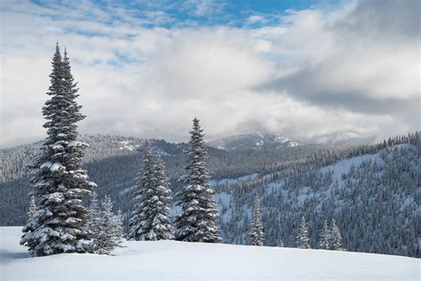 Manning Park Winter Photography - Alan Majchrowicz Photography Photography