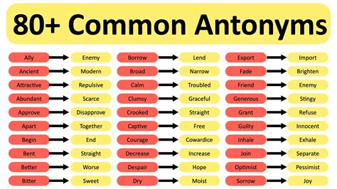 80+ COMMON ANTONYMS 👏🏻 - YouTube