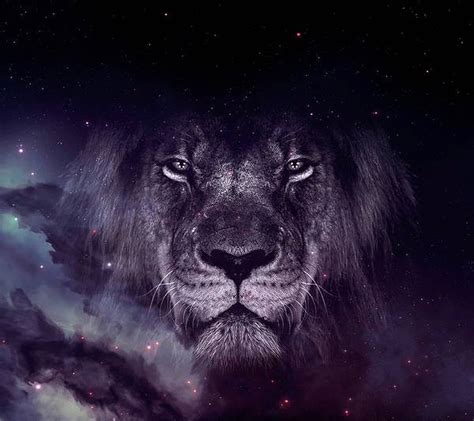 Top 999+ Galaxy Lion Wallpaper Full HD, 4K Free to Use